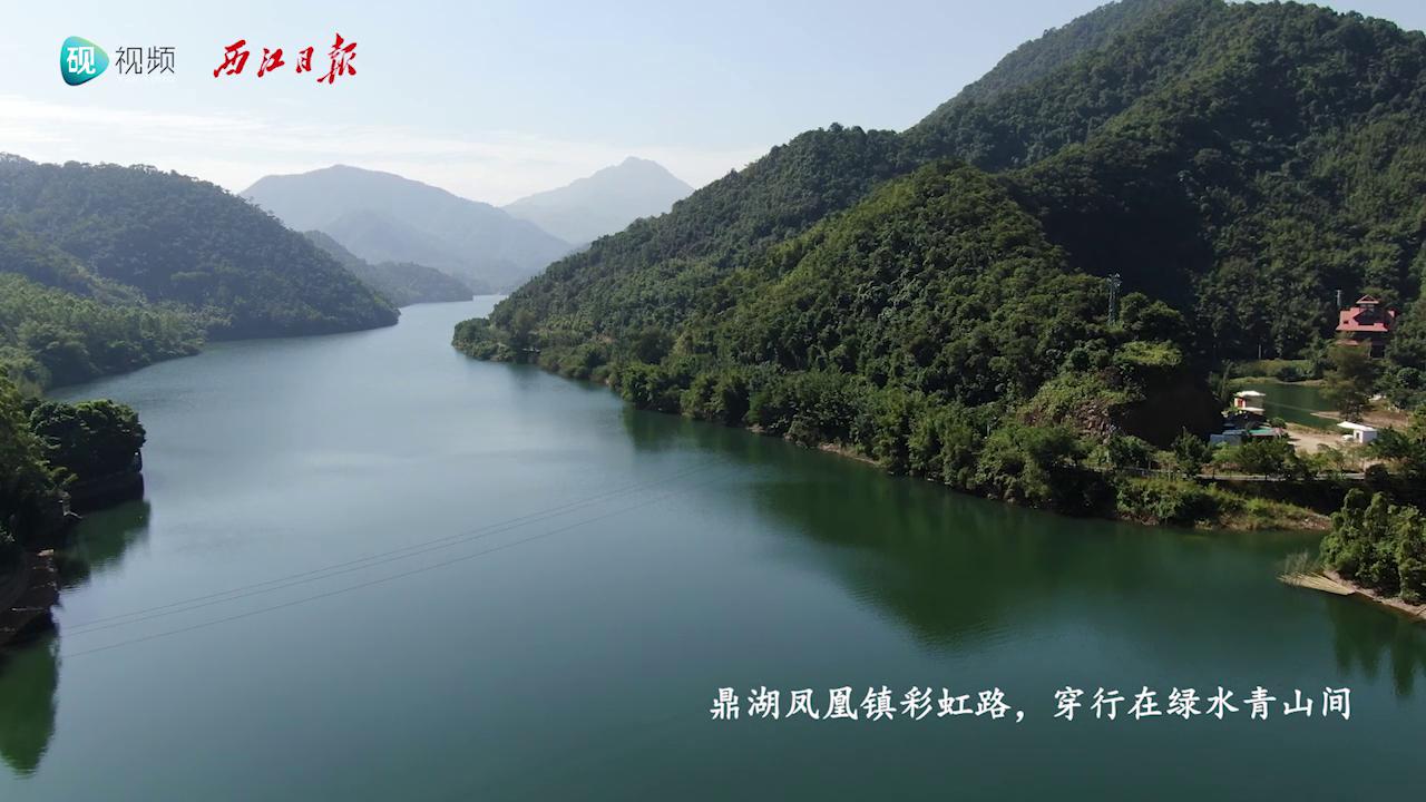 鼎湖打造“畅安舒美”公路，铺就全域旅游乡村振兴“快车道”！